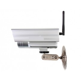 TENVIS 1/4 Inch CMOS Sensor Outdoor Waterproof Wireless Network Camera (Silver)